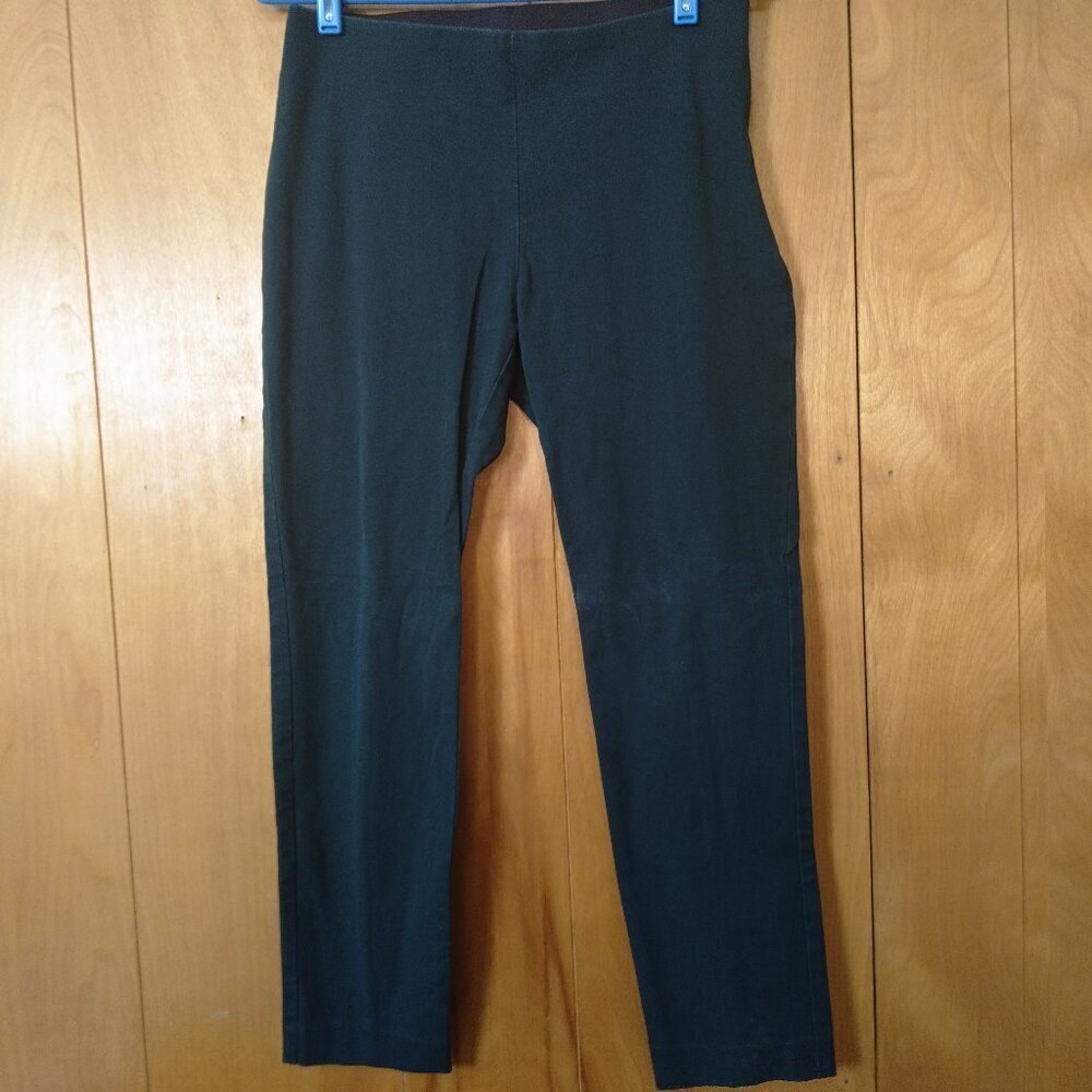 A New Day Size 6 Green Elastic Waist Side Zip Ankle Pants Pull On Comfort